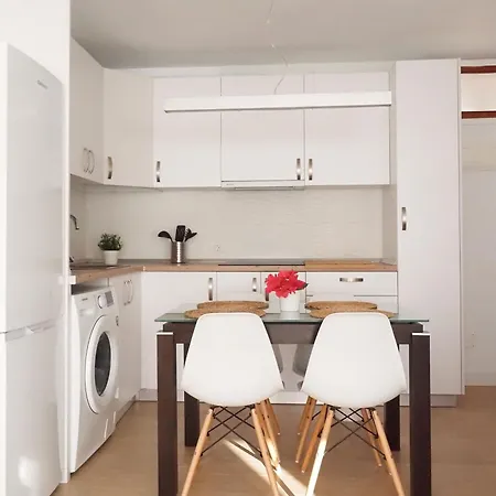 Palmeras * 바하마르