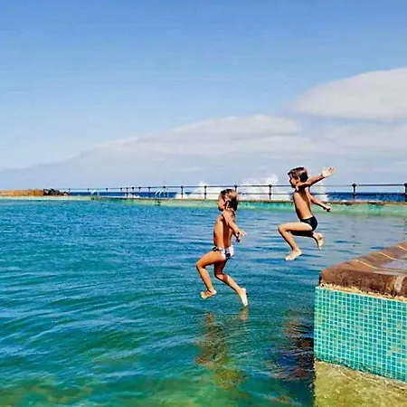 Palmeras * 바하마르