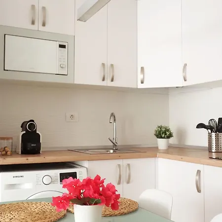 아파트 Palmeras 바하마르