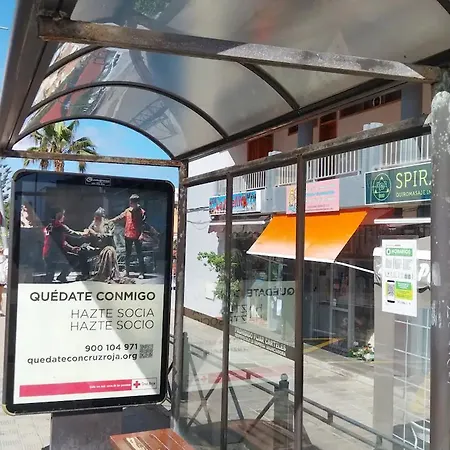 Palmeras 바하마르