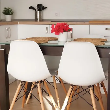 Palmeras * 바하마르