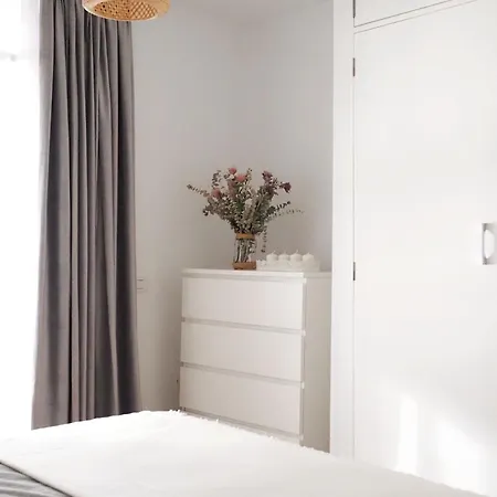 Palmeras 바하마르