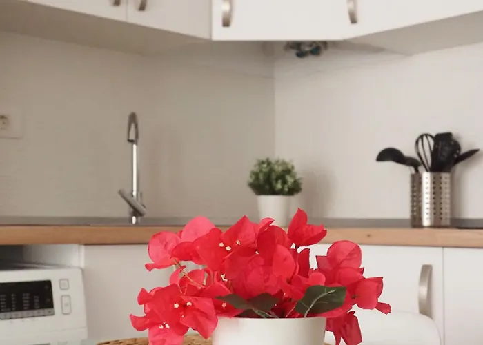 Palmeras